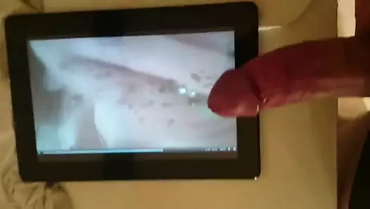 catpussy12345 için haraç