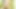 Forbidden Ts Cock Sex 23