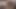 Dildo ve anal tıkaç edepsiz konuşma