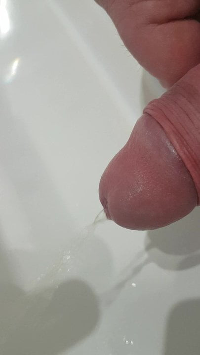 Schwanz pisst