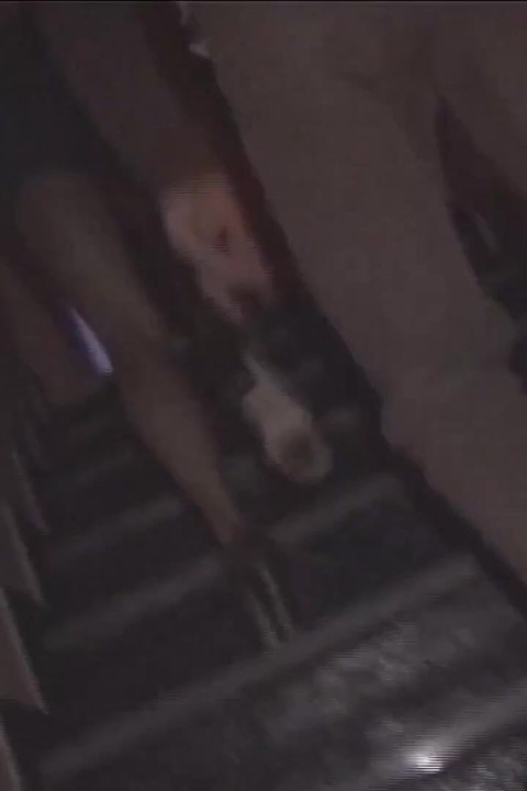 Szexi csaj és nagy fasz punci baszás punci nyalás