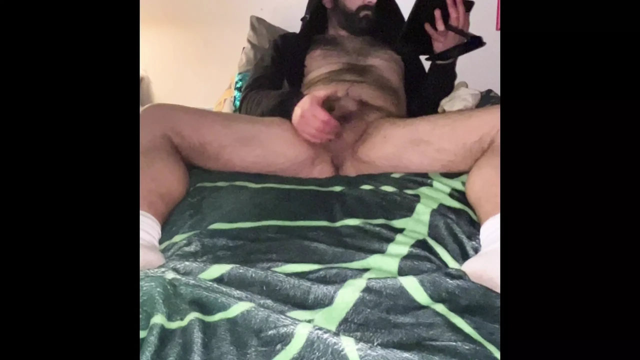 pig in the early morning