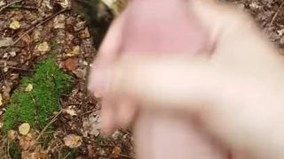 Wank in the woods and cum on a tree