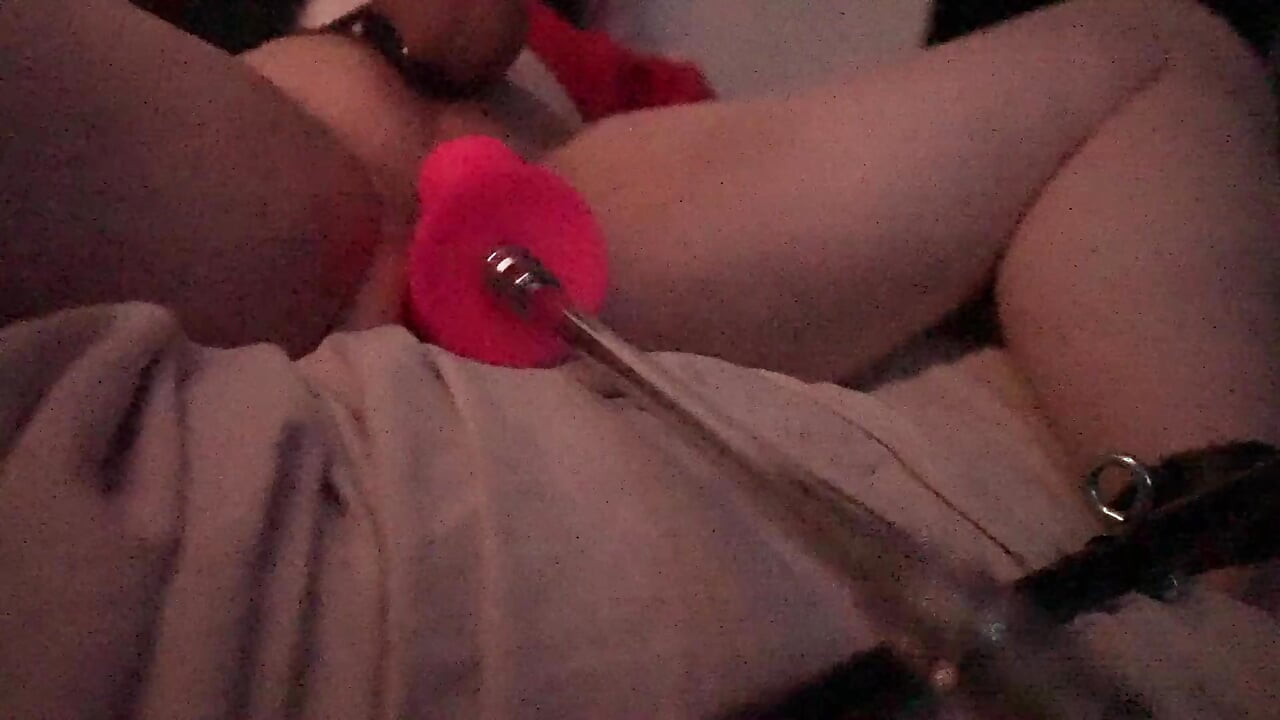 Fucking My Ass with a Dildo - Teaser