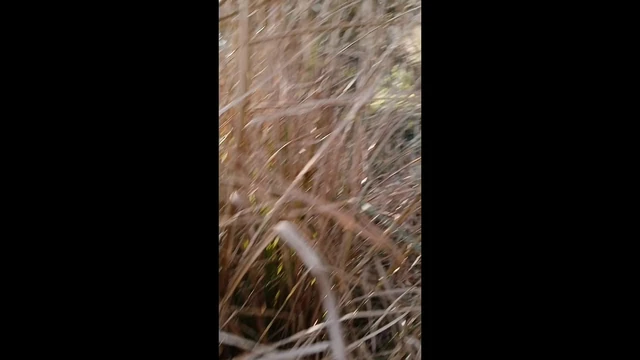 Indian Village Outdoor Highway Road side sex 2023