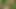 Muscular homosexuals hard banging in the forest