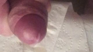Morning Tug with a Creamy Ending