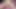 Hotkinkyjo in pink dress fuck her ass with huge dildo from mrhankey, anal fisting, belly bulge & prolapse