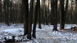 Uitdaging kan lul niet verbergen gedurende 5 minuten in het bos