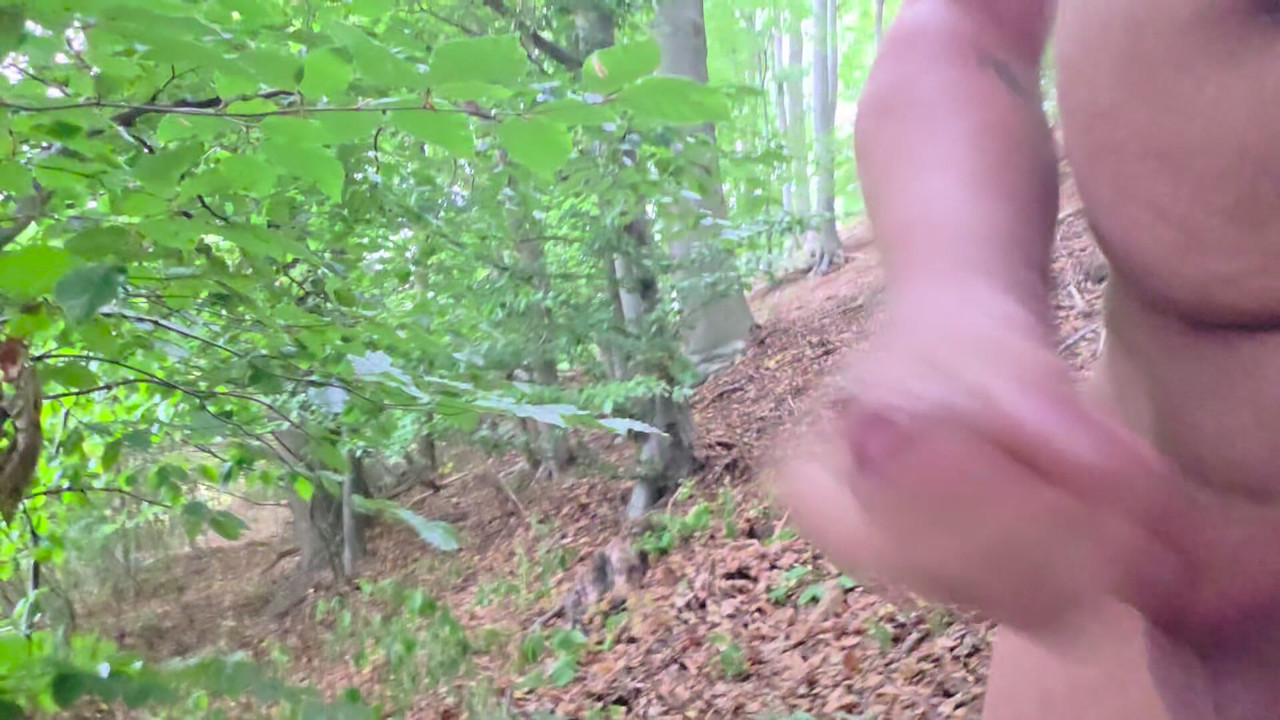 Horny in the forest