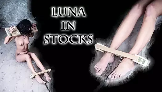 Luna in stock