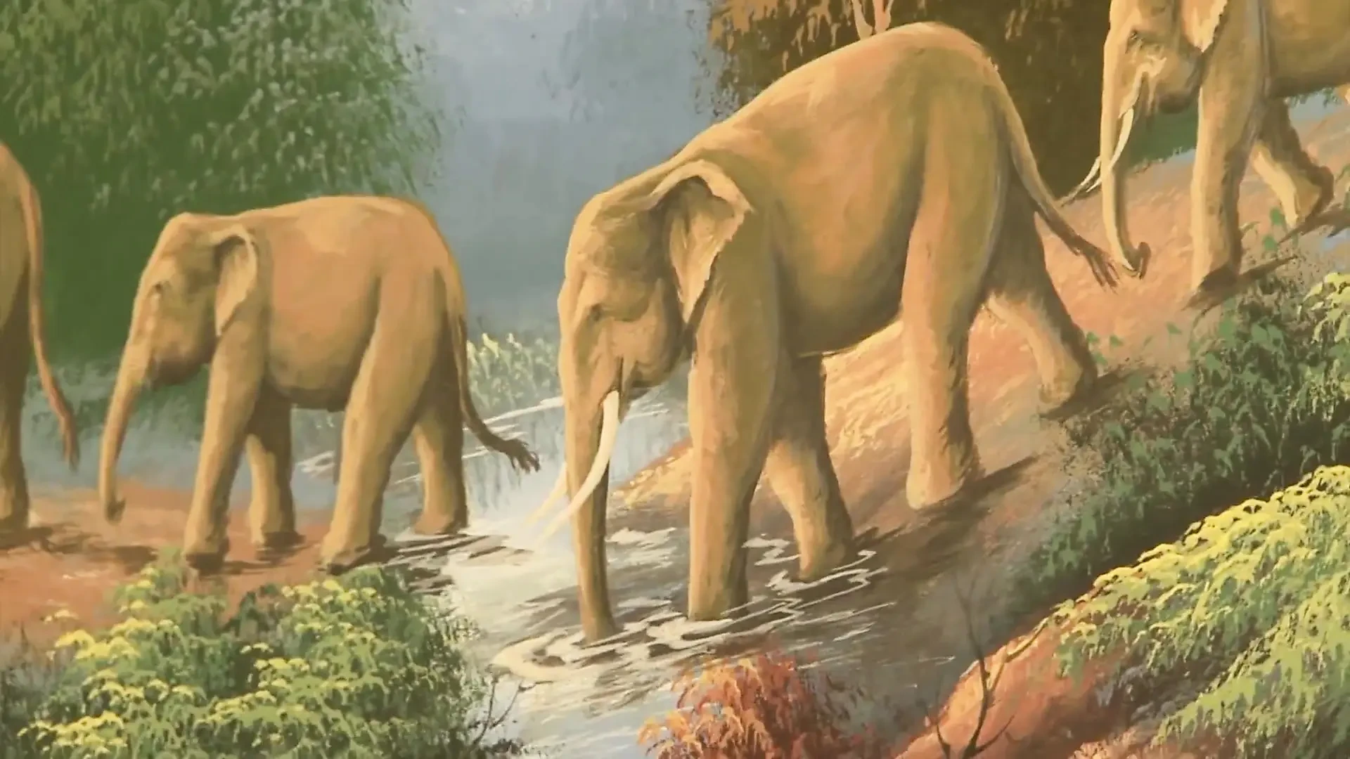 Chris Cock - brunette,interracial