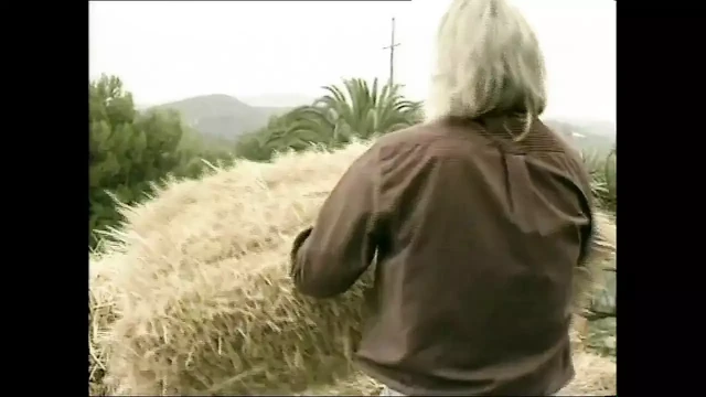 A Mix of Sweet and Sensual Scenes