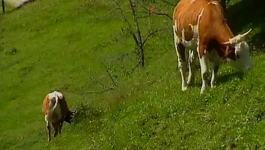 Vollbusiges deutsches schätzchen genießt atemberaubende anal-outdoor-orgie