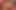 Büyük memeli gilf seksi Vanessa sarışın Kiki Daire'nin ıslak amını memnun ediyor