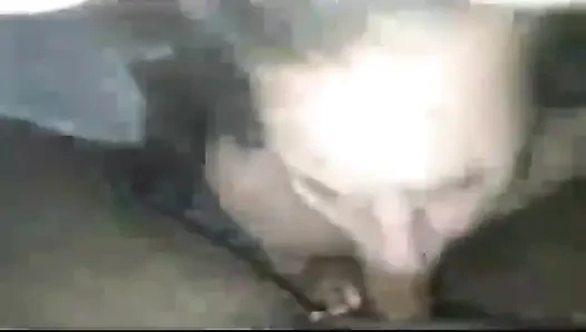 Она доказывает, что белые девушки сосут лучший член