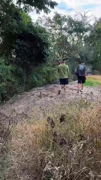 Male pigs Cruising bareback public park | Clip 3