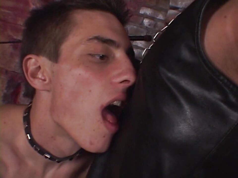 Hot Anal Embraces