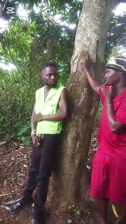 Meet Him on a Good Day in the Bush