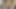 BBW Indian Aunty fucked his neighbour wife Desi housewife together in their House enjoying hardcore Bangladeshi New year' Dating