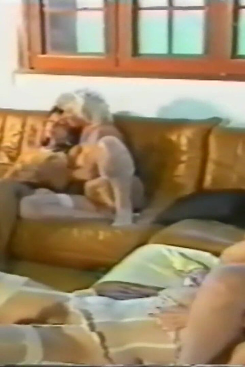 Avrupalı nostaljik porno yıldızı grup seks partisi