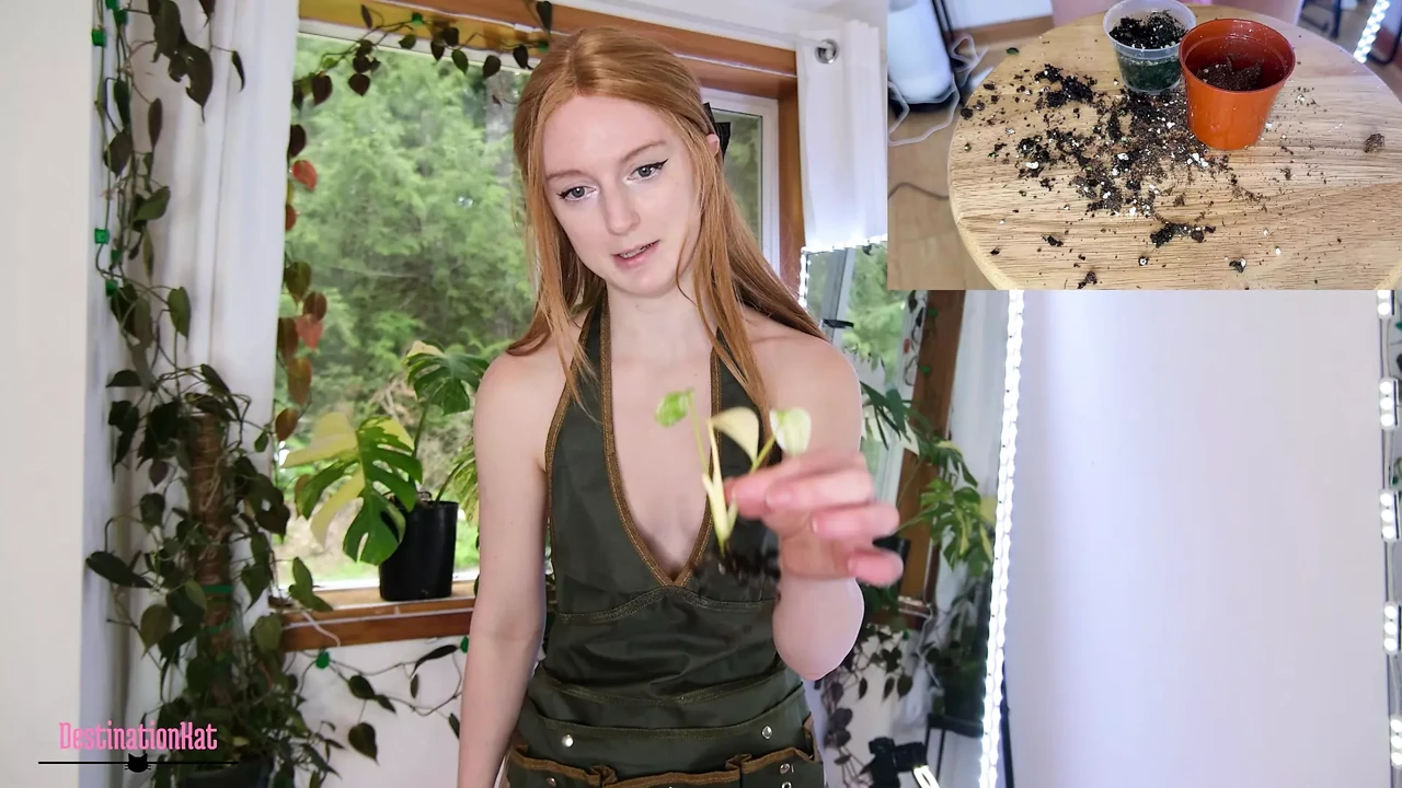 Gardening With Kat- Repotting Monsteras SFW
