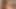 Seksi bebek Başlarken onu sevimli kedi yaladı önce olmak çarptım