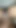 Çekici ateşli ve seksi yarağı aşağı yukarı sikiyor
