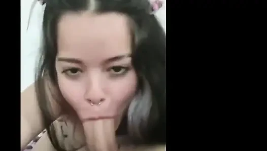 White Wolf ofc - video vip bulan putih peringkat 69
