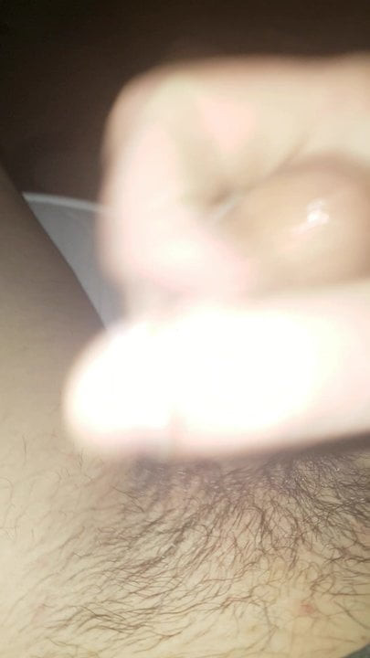 Penis
