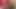 Anikka albrite dientot habis-habisan sama kontol besar sampai lubangnya menganga lebar