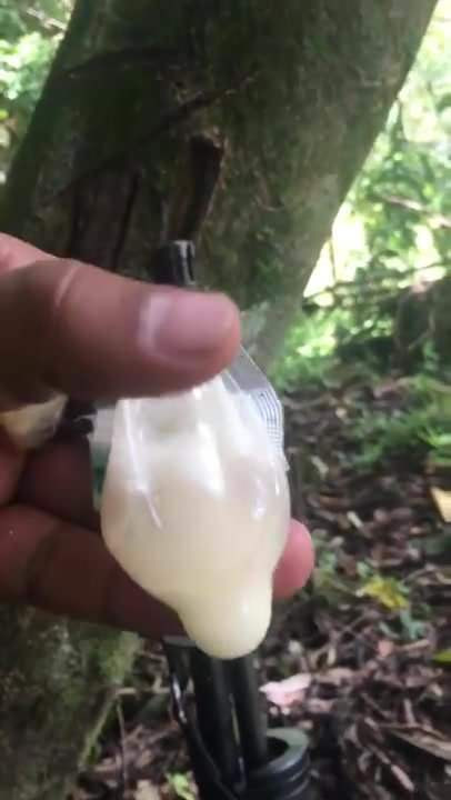 Leche milicia1