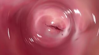 Самое горячее раздвигание киски и внутренняя камера в сливочной вагине Мии
