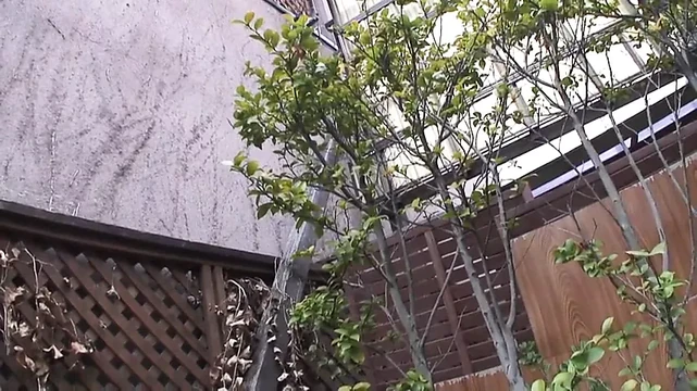 Japanese hairy pussy
