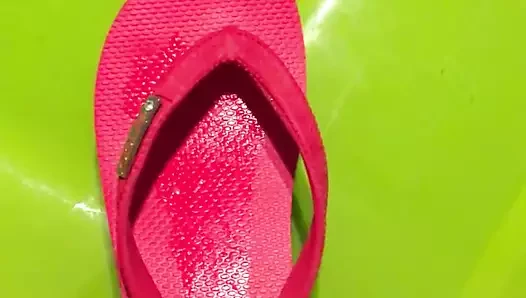 Rote Flip Flops der Nachbarin nochmal besamt