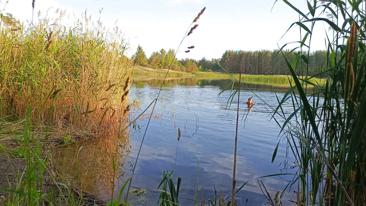 Evening by the lake. Unfortunately, I'm alone here ...