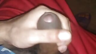 拉鹅的一天