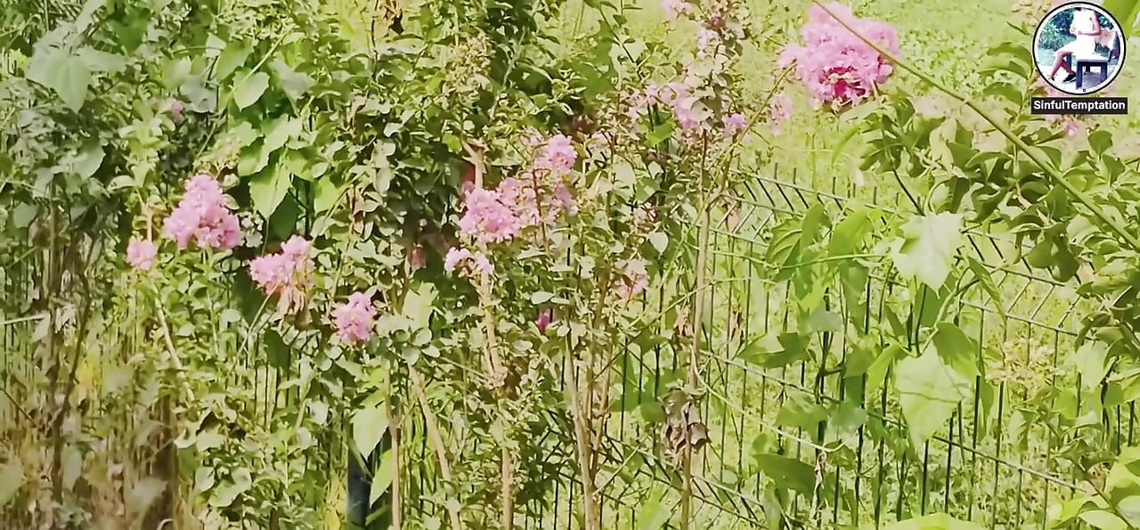 Outdoor Public Park Dildo Blowjob