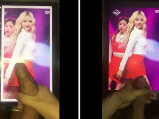 LOONA JinSoul Collab Cum Tribute With NoChokingZone