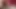 Face cum bukkake by a big white cock