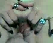 Wifes Pussy