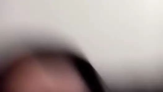 Amcık