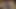 الملاك الآسيوي 25342
