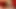 Erin Nicole fingert ihre Muschi und masturbiert