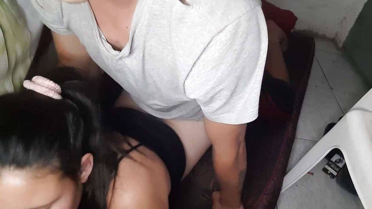 אוסף קטעי וידאו של Gordtia Argentina