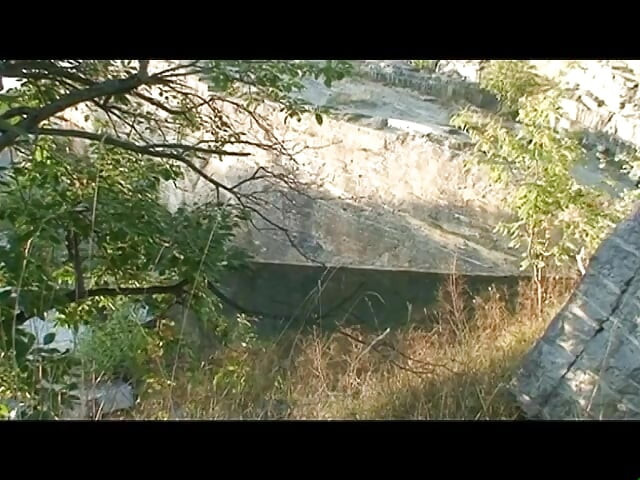 Country Cows - Vacche Di Campagna DVD