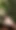 Quick outdoor cumshot