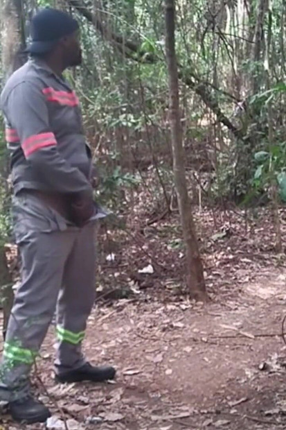 Otišao sam u lagunu pišati i masturbirati.