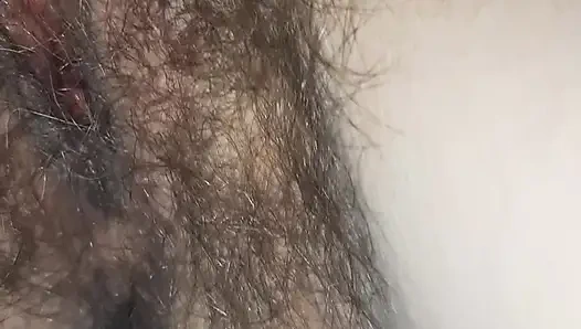 Волосатая киска