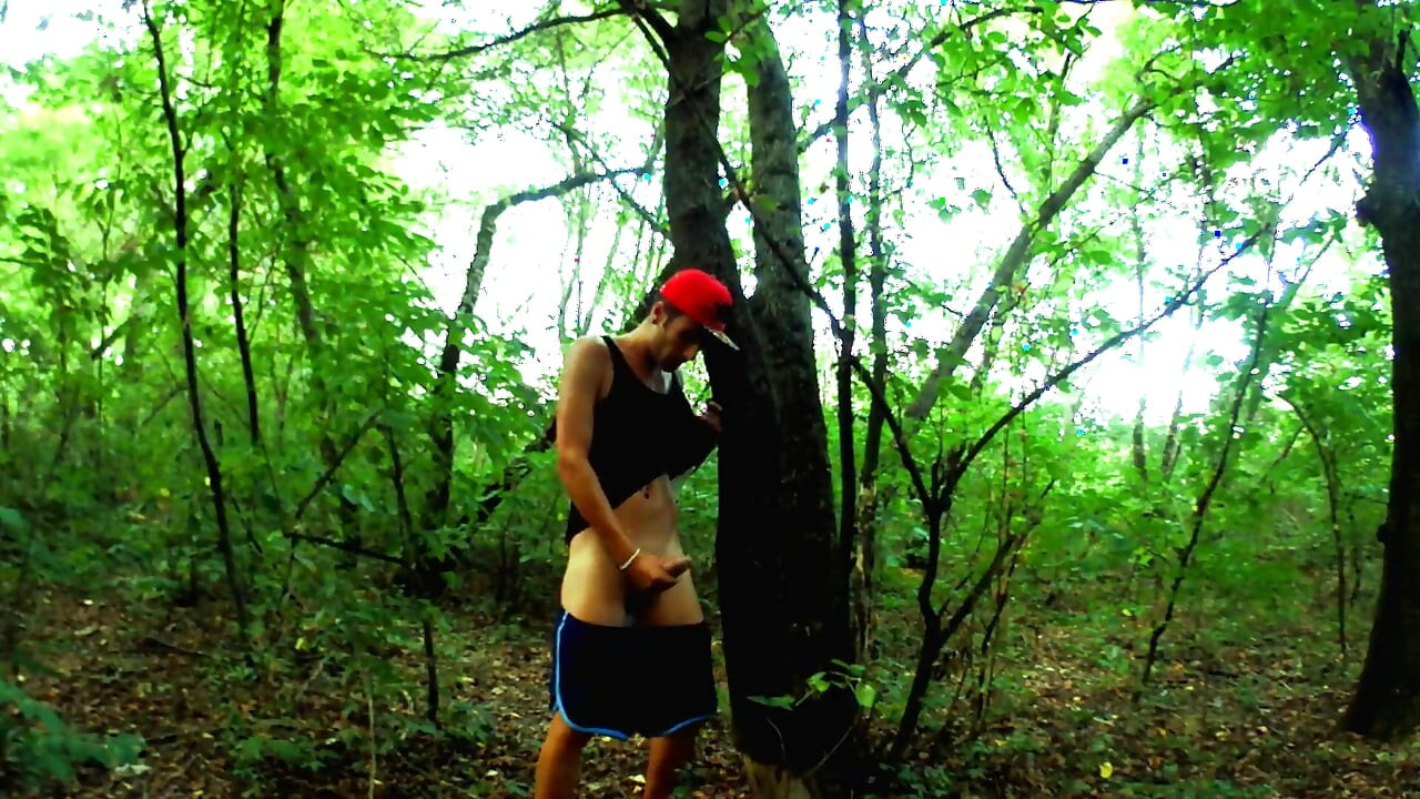 7 Minutes Fast Intense Huge Dick Jerking off in the Evening Woods